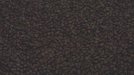 Hands of a man taking a lot of coffee beans.