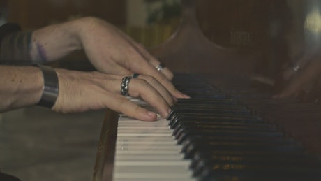 Hands of a skilled musician playing the piano