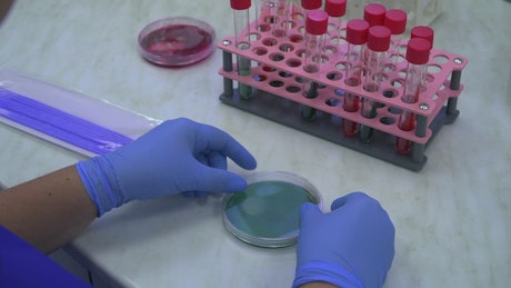 Hands of person working in a laboratory