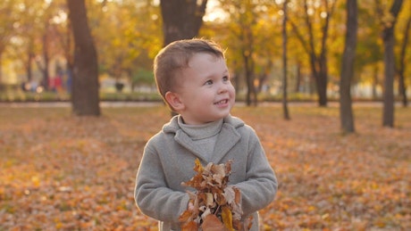 Happy child playing with autumnal leaves.
