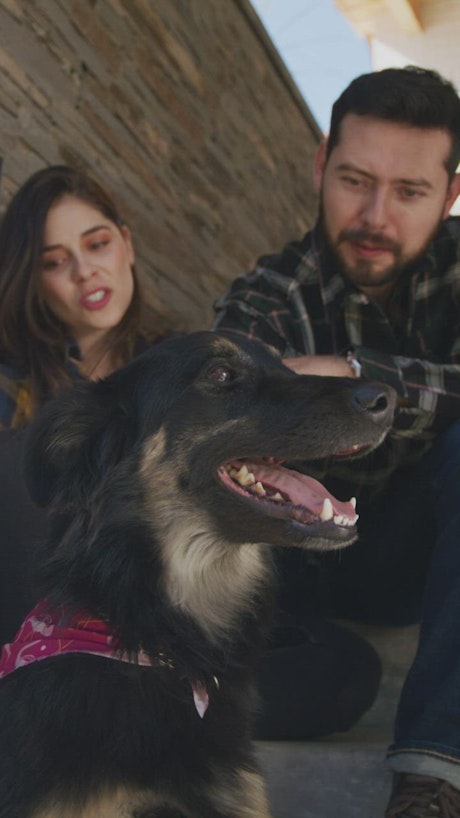 Happy couple petting their dog.