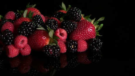 Harvest berries.