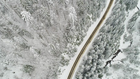 Highway crossing a winter forest