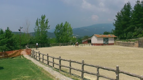 Horses on the farm.