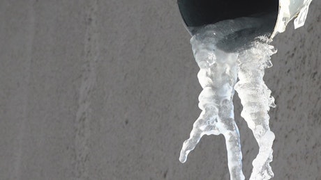 Icicles dripping water