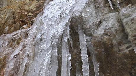 Icicles dripping water on a cave.