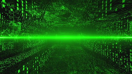 Information Concept in the Matrix.
