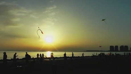 Kites on the beach at sunset