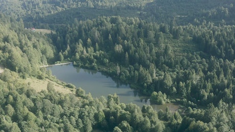 Lake in the middle of a forest.