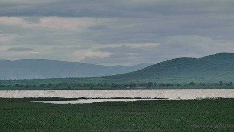 Lake in the middle of a plain surrounded by hills and vegetation