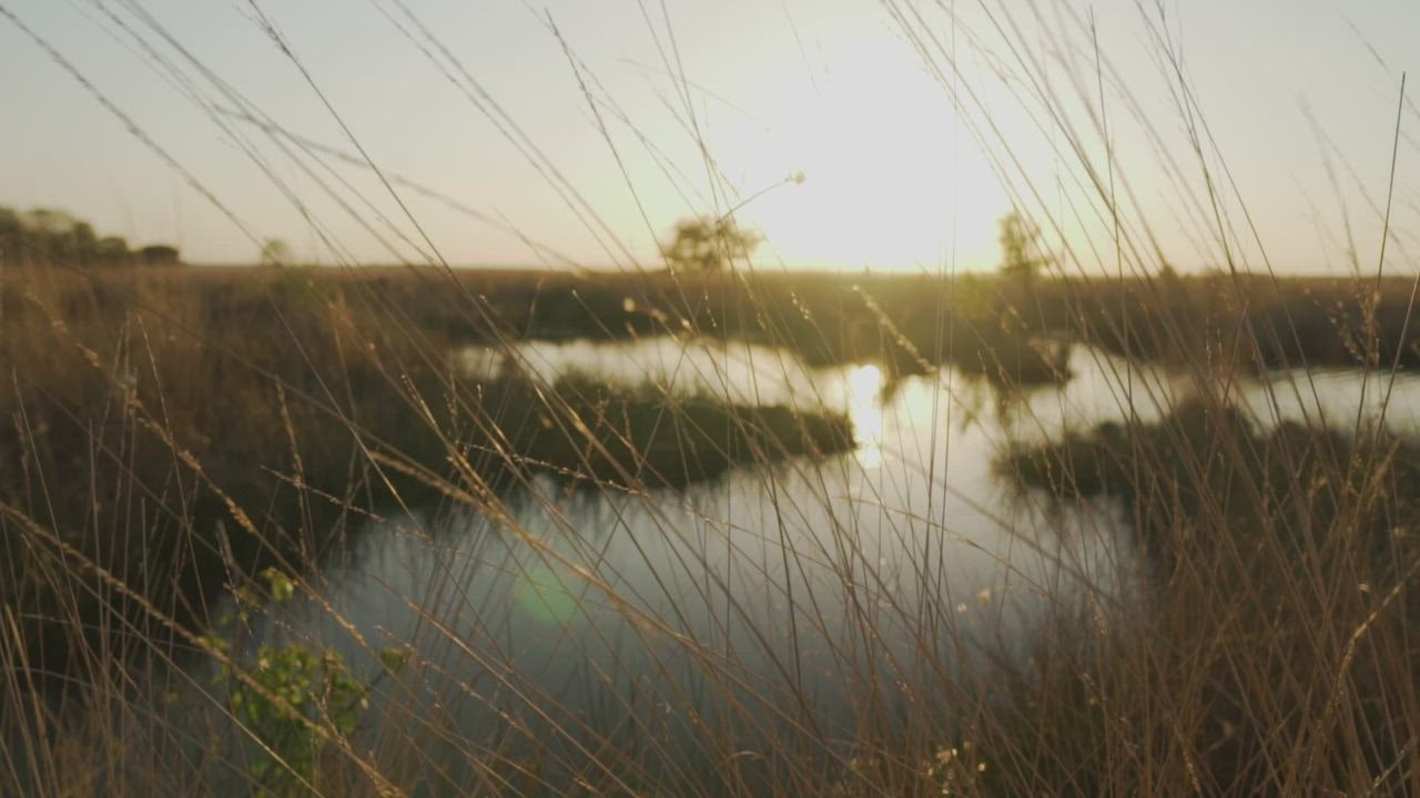 ⁣Lake LIVE DRAW  surrounded by dry grass in the savanna