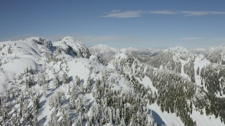 Landscape of snow-covered mountain and pines.