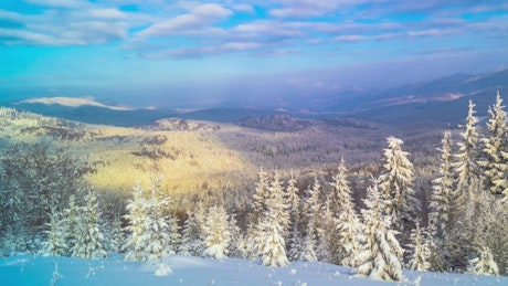 Landscape of the winter montain forest.