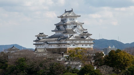 Large Japanese building sticking out from the trees.