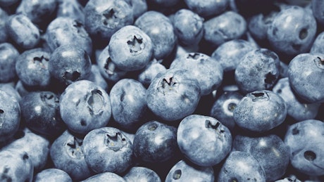 Large pile of juice blueberries.