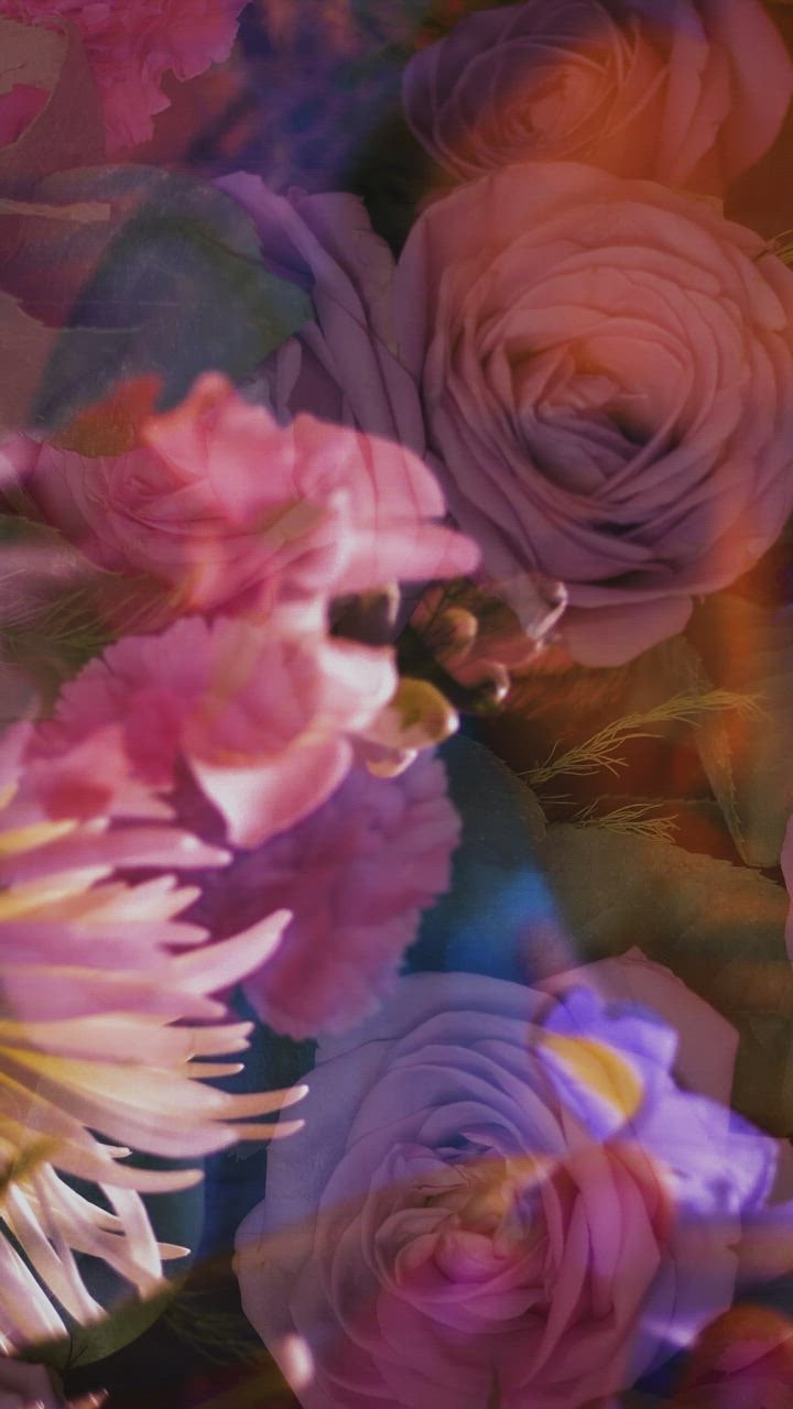LGBTQ conceptual video o LIVEDRAW f a boy's hand appreciating flowers