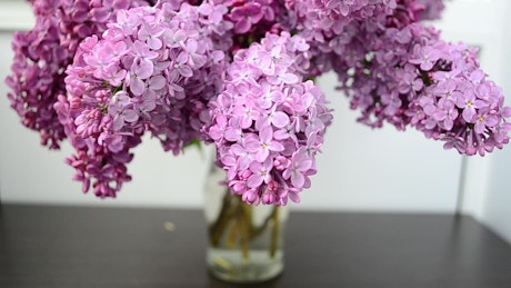Lilac in a glass vase.