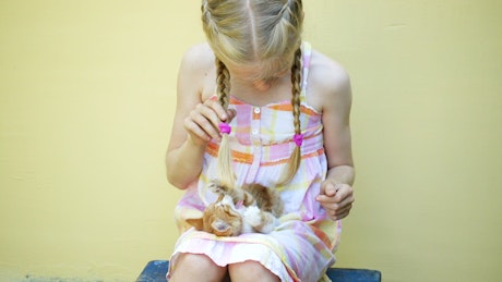 Little girl playing with a kitten on her lap.