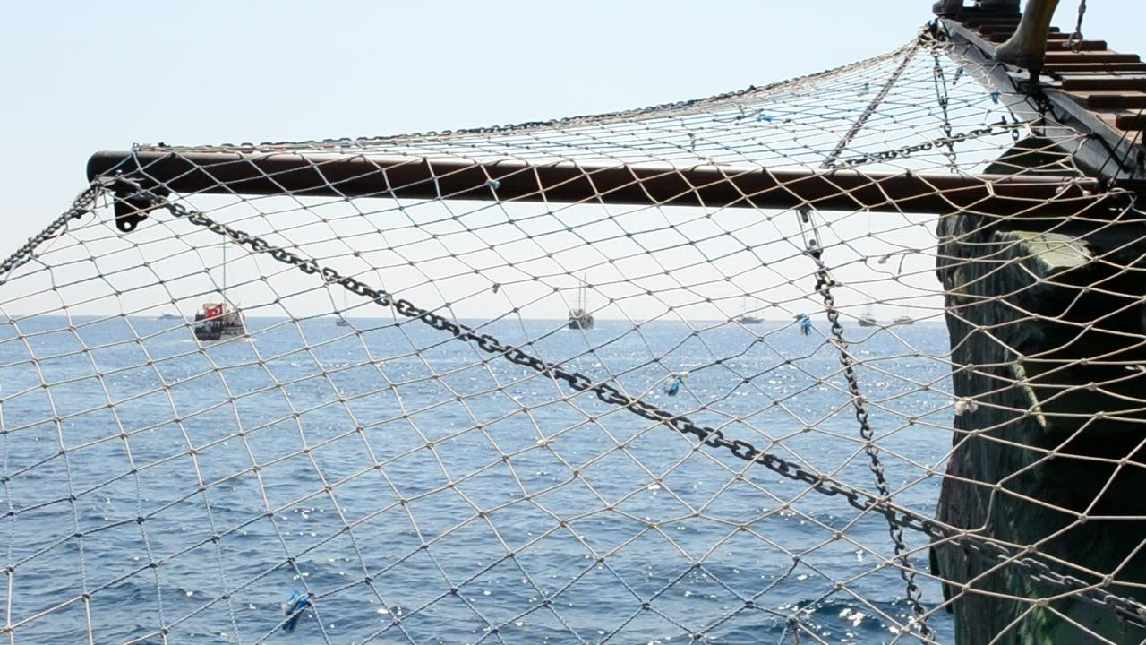 Boat Nets