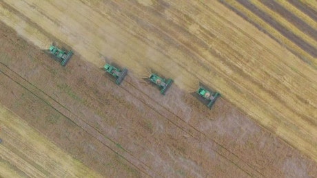 Machines harvesting a wheat field.