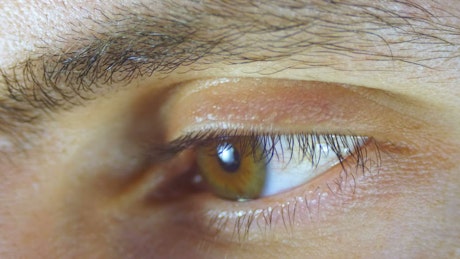 Macro shot of a human eye blinking.