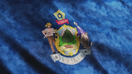 Maine State flag.