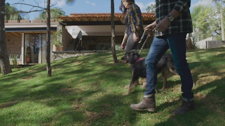Man and woman walking a dog in a garden.