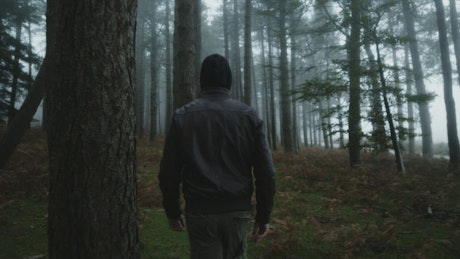 Man explores and walks in the forest enjoying the fresh air.