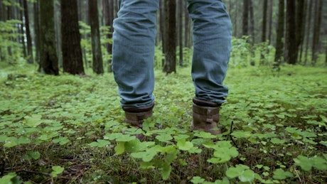 Man feet walking through the forest