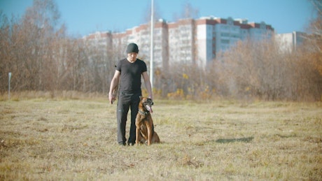 Man in a field with his trained dog.