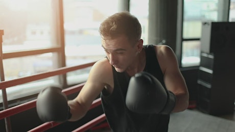 Man training with gloves in boxing ring.