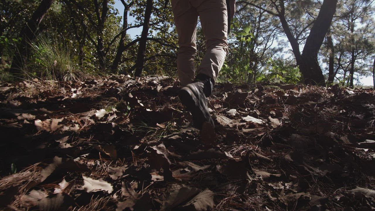  LIVEDRAW Man walking through forest