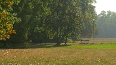 Man with a bicycle in the park.