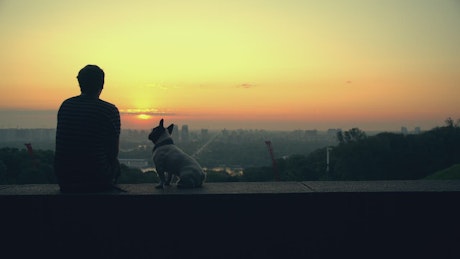 男人和他的狗在地平线上看日落