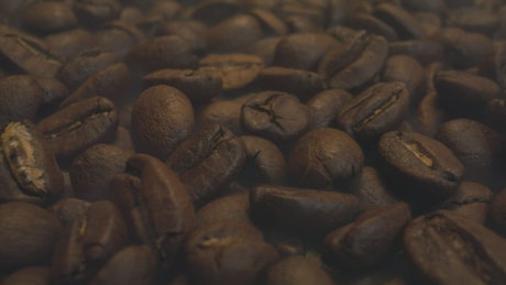 Many coffee beans in a close view.