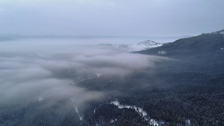Misty clouds forming over a winter forest