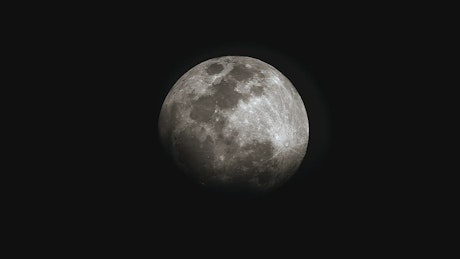 Moon in the dark sky.