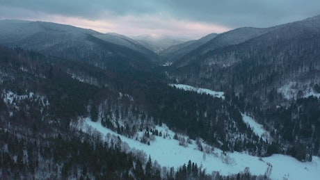Mountainous forest full of snow, aerial view