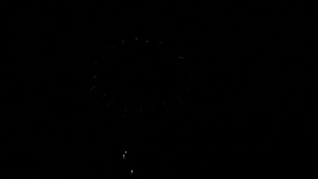 Multi-colored fireworks in the night sky