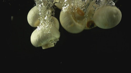 Mushrooms falling into the water, underwater shot