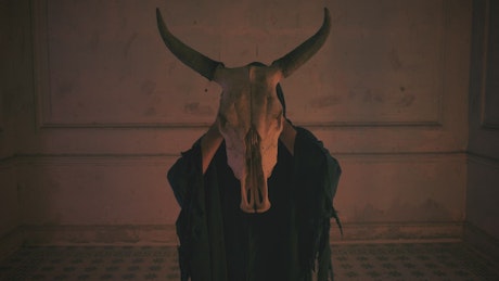 Mysterious person in black robe holding the skull of a bull.
