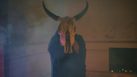 Mysterious person in robe holding a bull's skull.