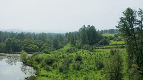 Natural landscape in an aerial view around a forest.