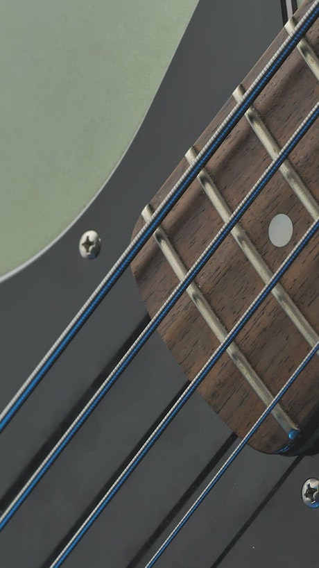 Neck of an electric bass.