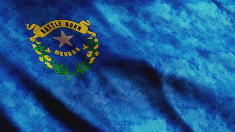 Nevada State 3D Flag.