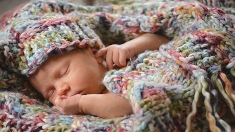 Newborn baby having a nap