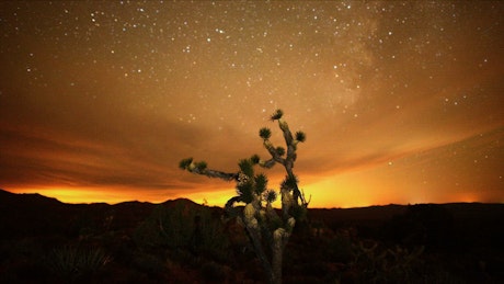 沙漠中的夜空