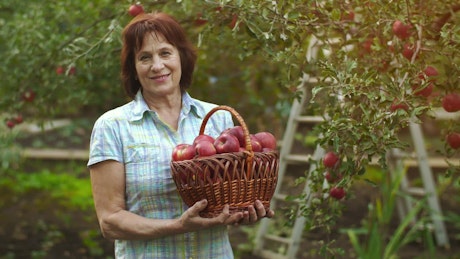 Old woman with a basket of apples