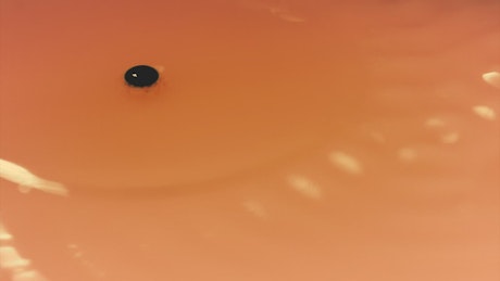 Orange liquid waving seen in detail
