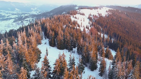Over a mountain covered with snow and pine trees